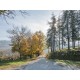 Properties for Sale_This farmhouse for sale in the Marche used as a farmhouse located in a beautiful area of Santa Vittoria in Matenano, Province of Fermo in the Marche region (Italy) in Le Marche_32